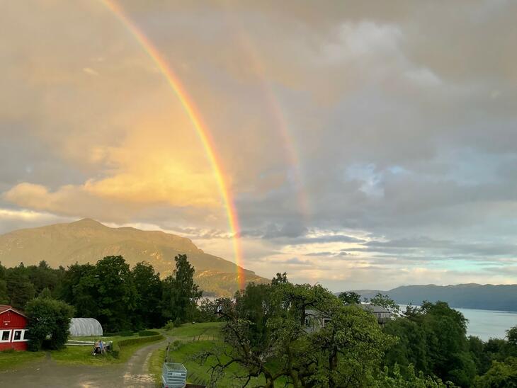 Regnbu over Hogganvik